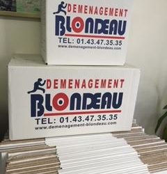 Vente cartons de déménagement