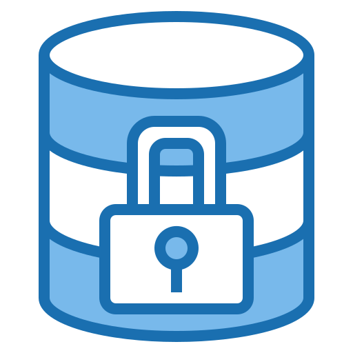 Sécurité des données personnelles Data Security