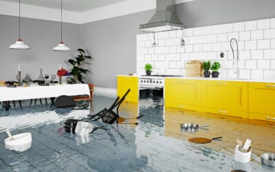 Déménagement après un dégât des eaux