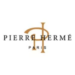 SFD logo le jules verne