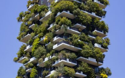 Éco-déménagement : réduire l’impact environnemental de son déménagement